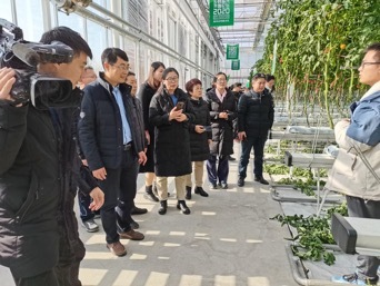 2020年青島市“冬季農(nóng)技暖陽行動(dòng)”啟動(dòng) 設(shè)施農(nóng)業(yè)新技術(shù)現(xiàn)場觀摩會(huì)成功舉辦