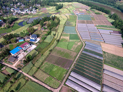 深耕縣域金融沃土 以農(nóng)業(yè)信息咨詢?yōu)橹c(diǎn)撬動(dòng)鄉(xiāng)村振興