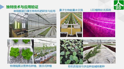 綠領的破局 探討農產品優質化的創新力量與新范式